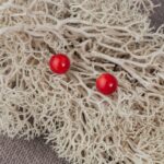 corail bambou boucles d'oreilles 6mm