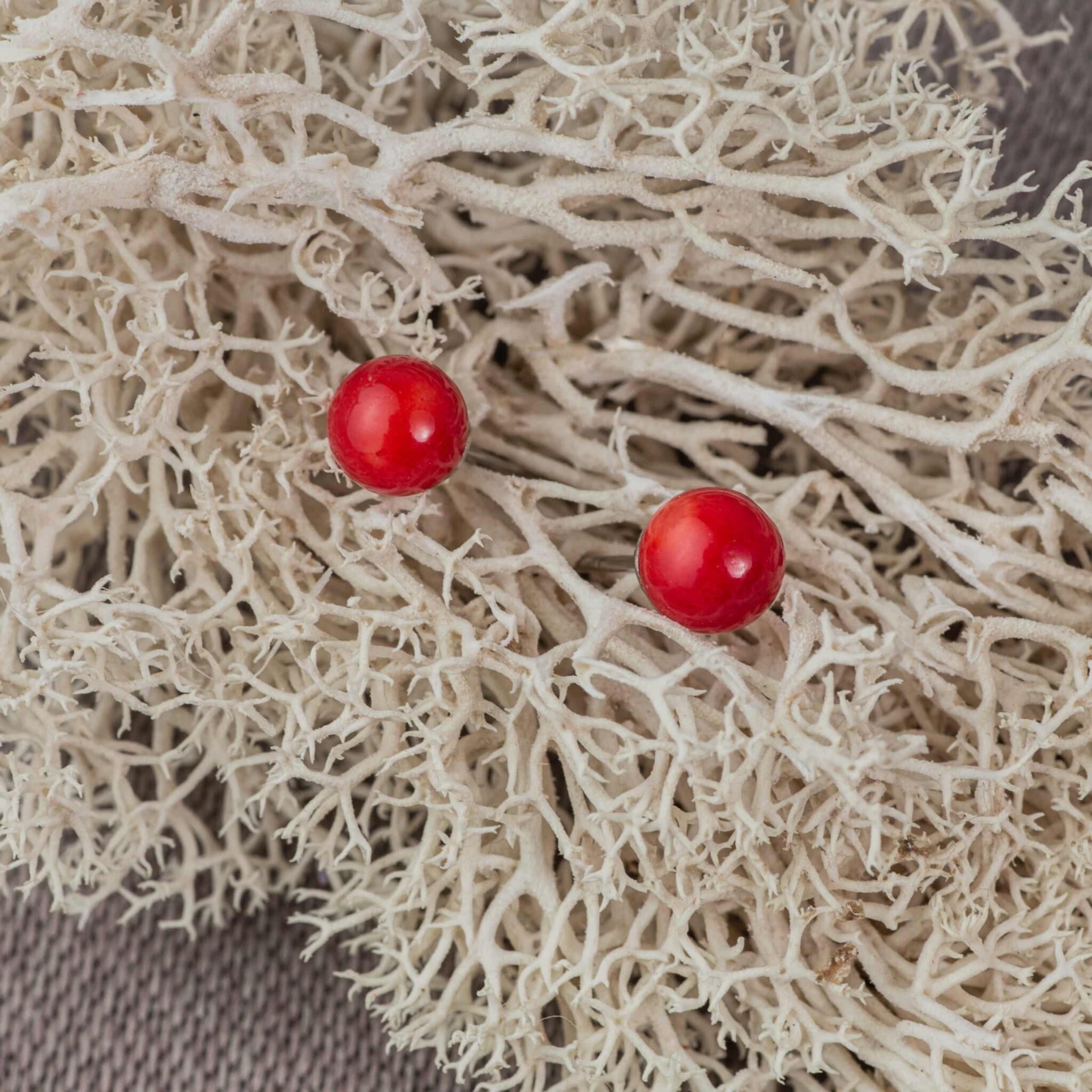 corail bambou boucles d'oreilles 6mm corail bambou boucles d'oreilles 6mm