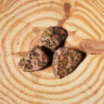 jaspe leopard pierre roulee2.webp