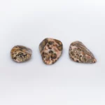jaspe leopard pierre roulee4.webp